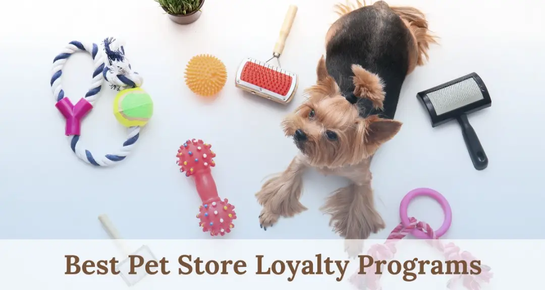 Jeffers pet store best sale